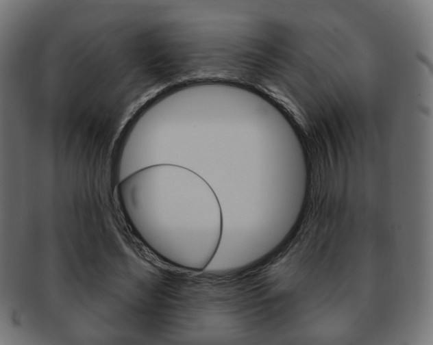 X0000091970492200709061135