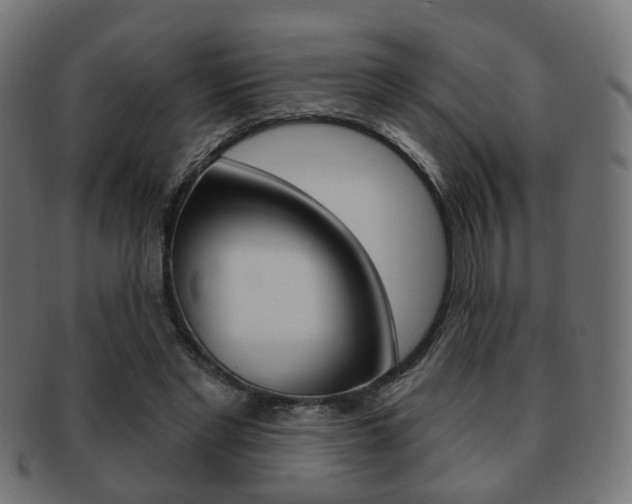 X0000091970493200709061135