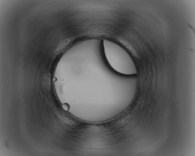 X0000091970494200709061135