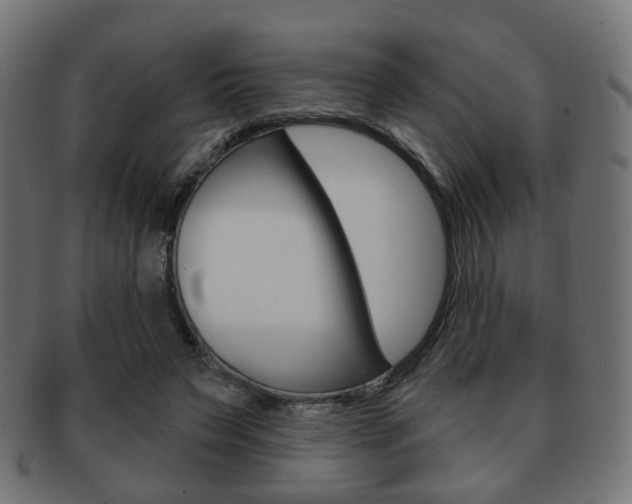 X0000091970495200709061135