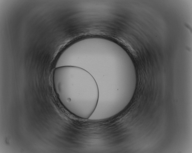 X0000091970496200709061135