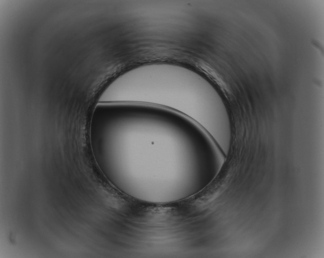 X0000091970497200709061135