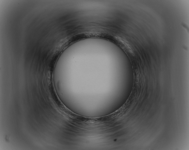 X0000091970498200709061135