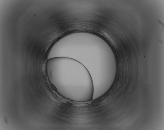 X0000091970500200709061135