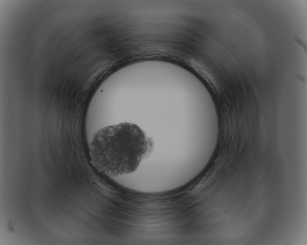 X0000091970501200709061135