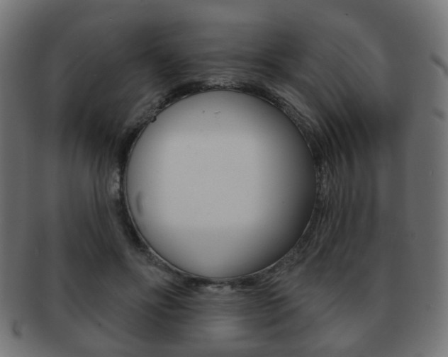 X0000091970502200709061135