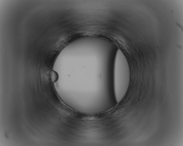 X0000091970503200709061135