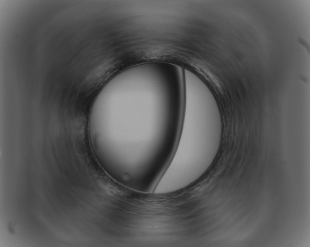 X0000091970505200709061135