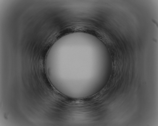 X0000091970506200709061135