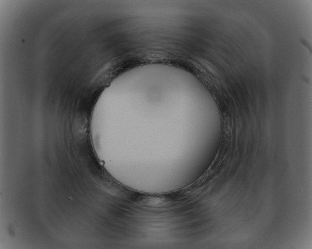 X0000091970507200709061135