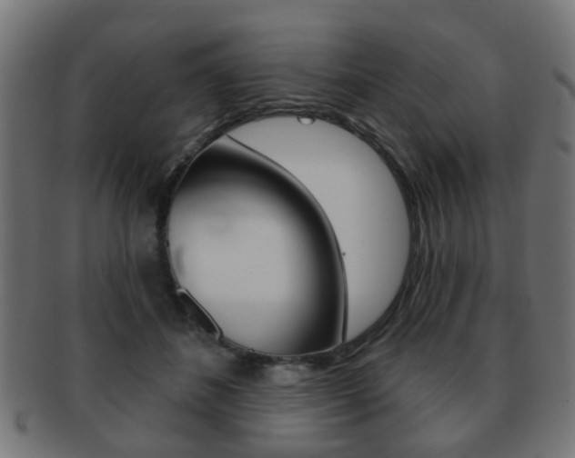 X0000091970508200709061135