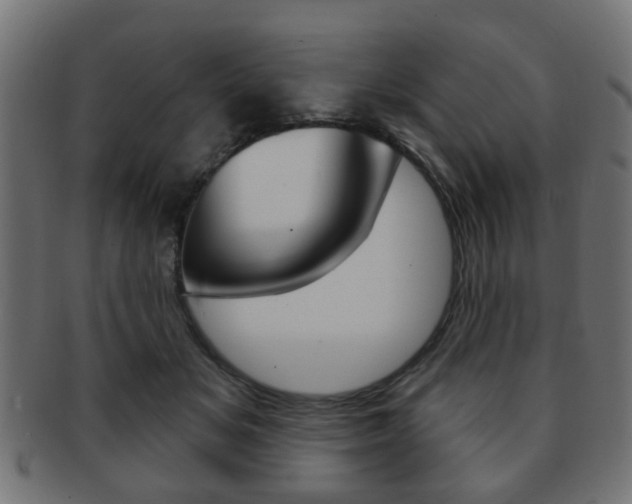 X0000091970509200709061135