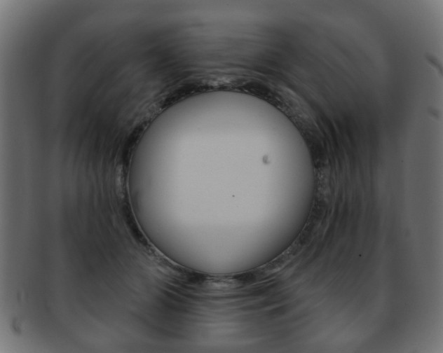 X0000091970510200709061135