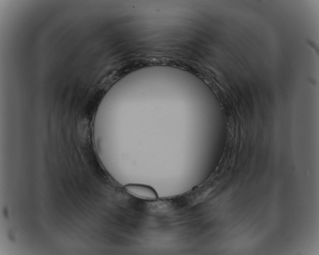 X0000091970511200709061135