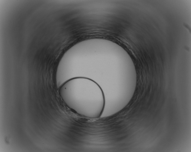 X0000091970512200709061135