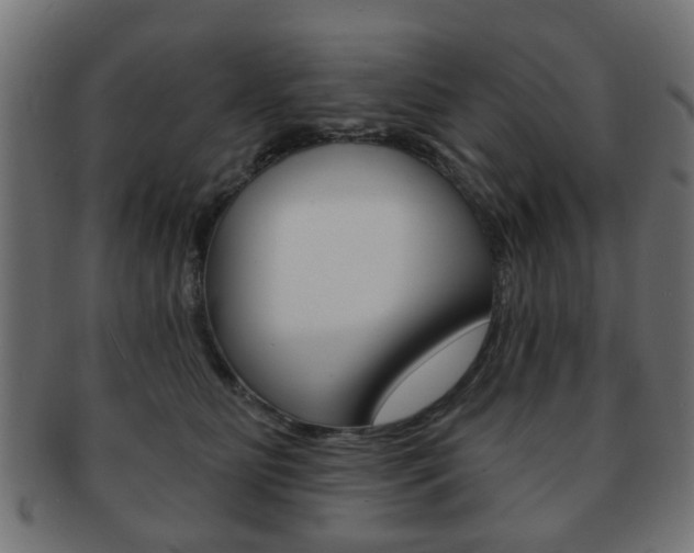 X0000091970515200709061135