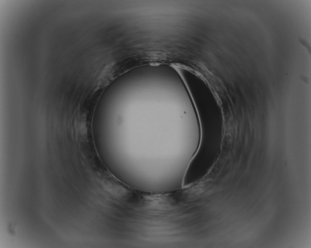 X0000091970516200709061135