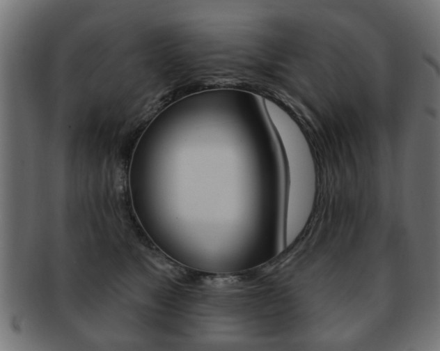 X0000091970517200709061135