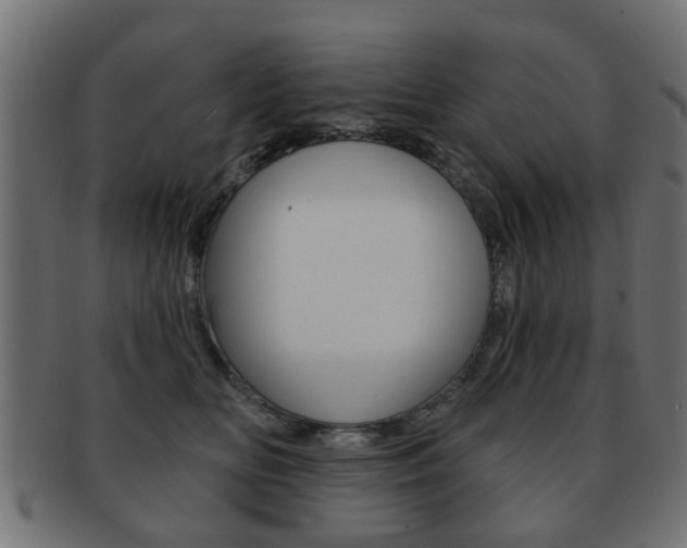 X0000091970518200709061135
