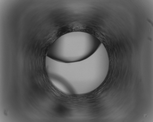 X0000091970519200709061135