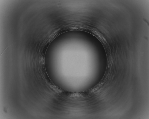 X0000091970521200709061134