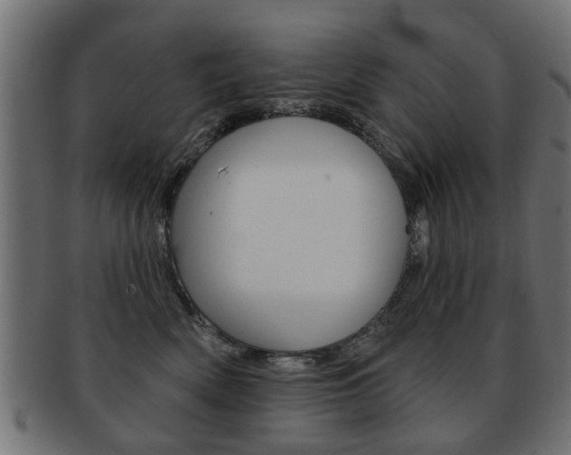 X0000091970522200709061134