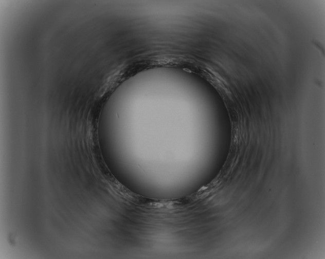 X0000091970524200709061134