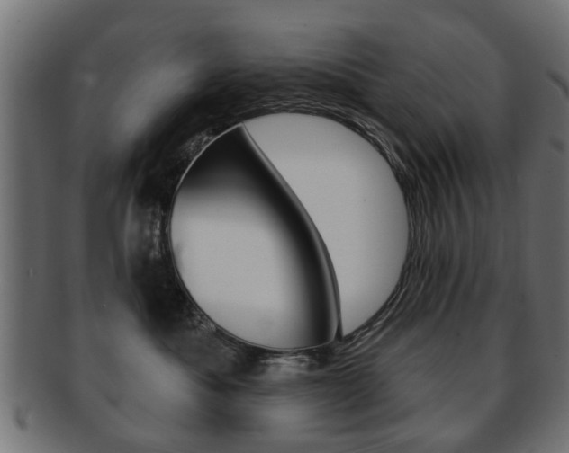 X0000091970525200709061134