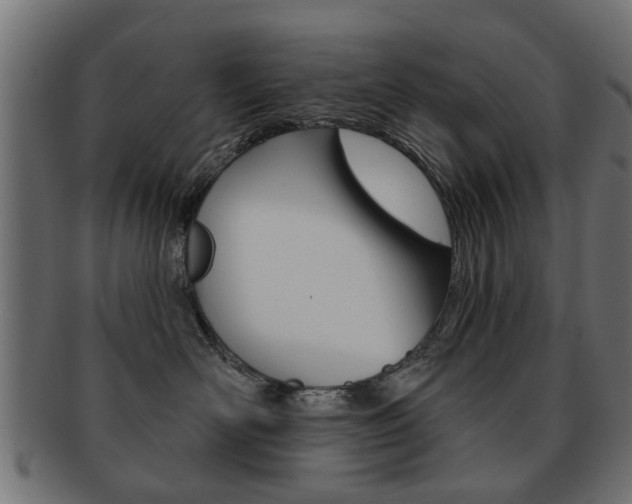 X0000091970526200709061134