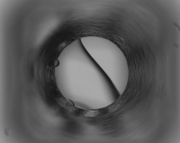 X0000091970527200709061134