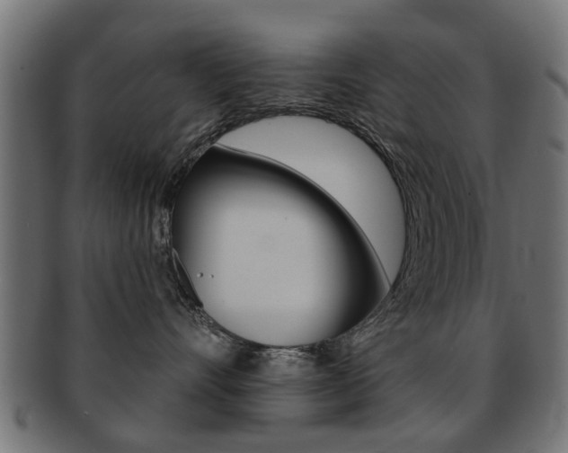 X0000091970528200709061134