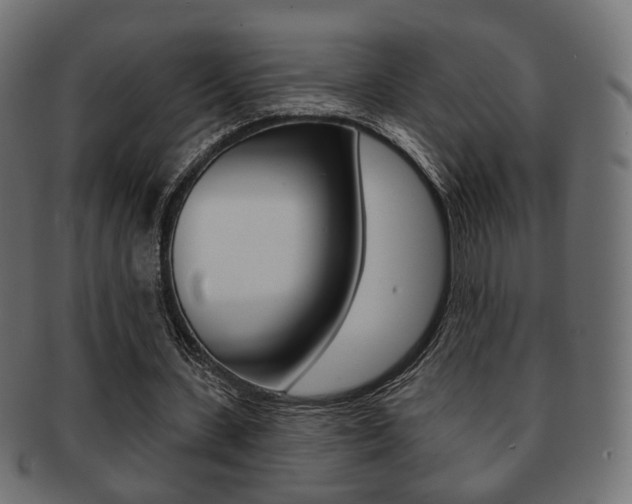 X0000091970531200709061134