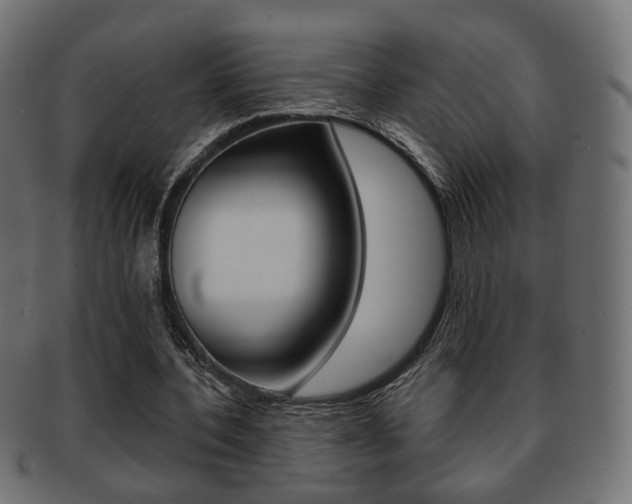 X0000091970532200709061134
