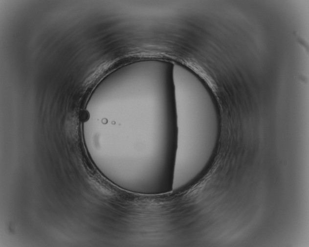 X0000091970533200709061134