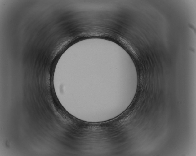 X0000091970534200709061134