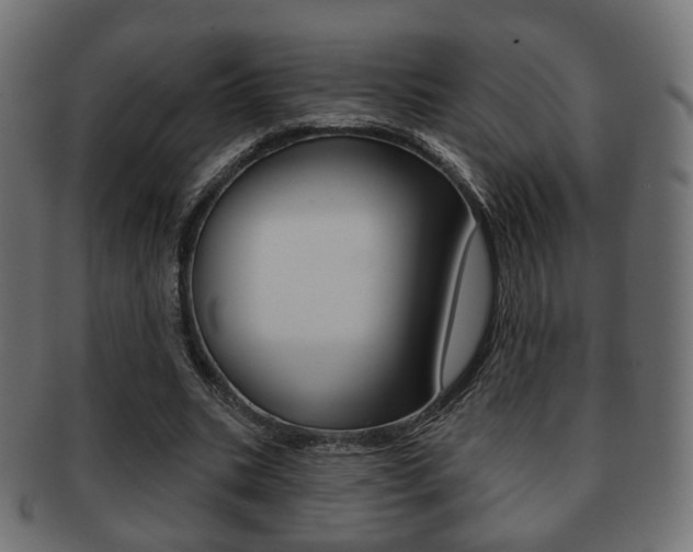 X0000091970535200709061134