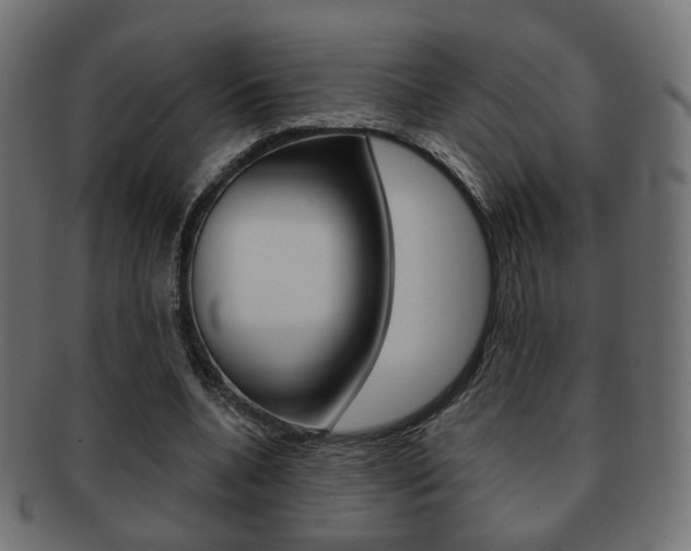 X0000091970536200709061134
