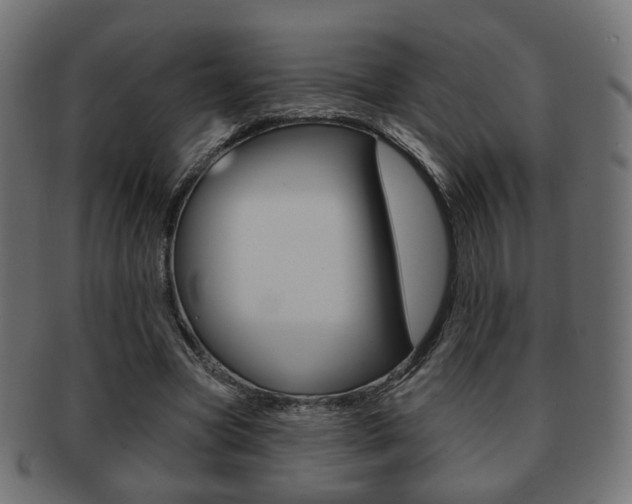 X0000091970537200709061134