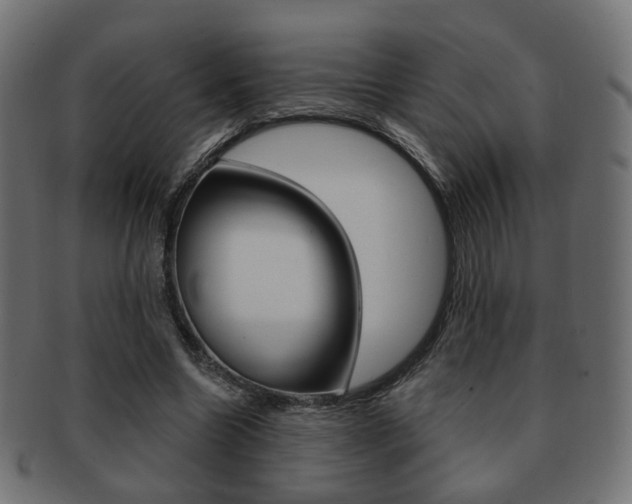 X0000091970538200709061134