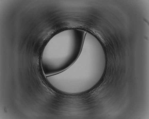 X0000091970539200709061134
