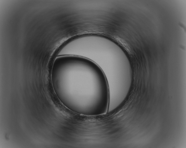 X0000091970540200709061134