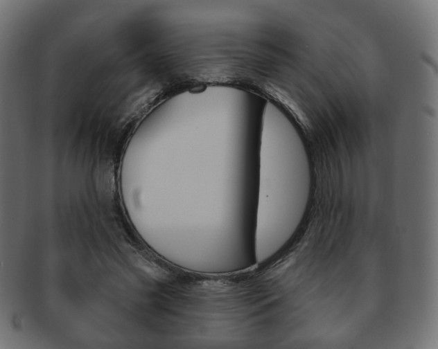 X0000091970541200709061134