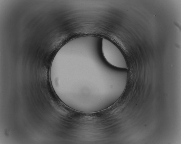 X0000091970542200709061134