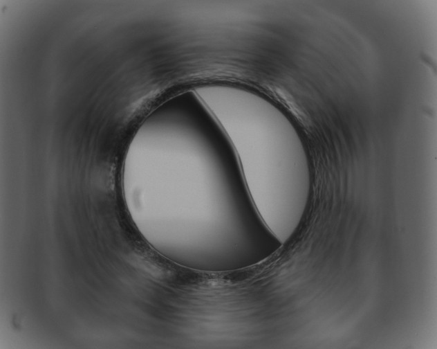 X0000091970543200709061134