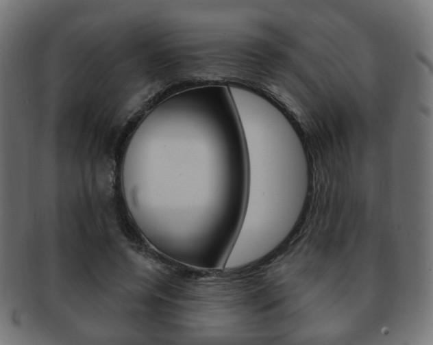 X0000091970544200709061134
