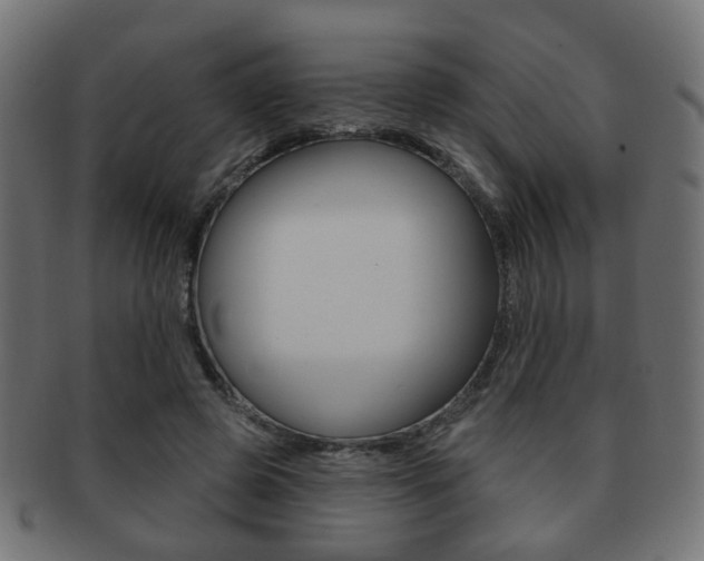 X0000091970545200709061134