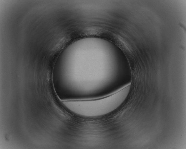 X0000091970546200709061134