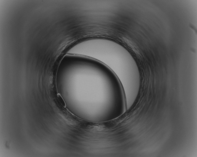 X0000091970548200709061134