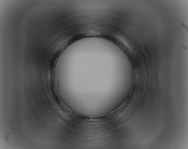 X0000091970549200709061134