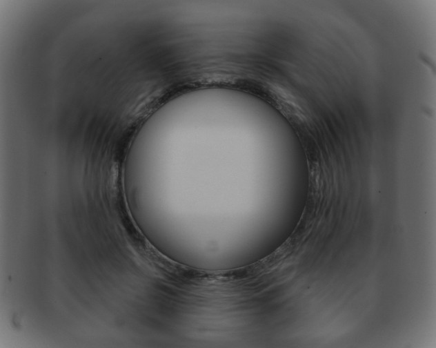 X0000091970550200709061134